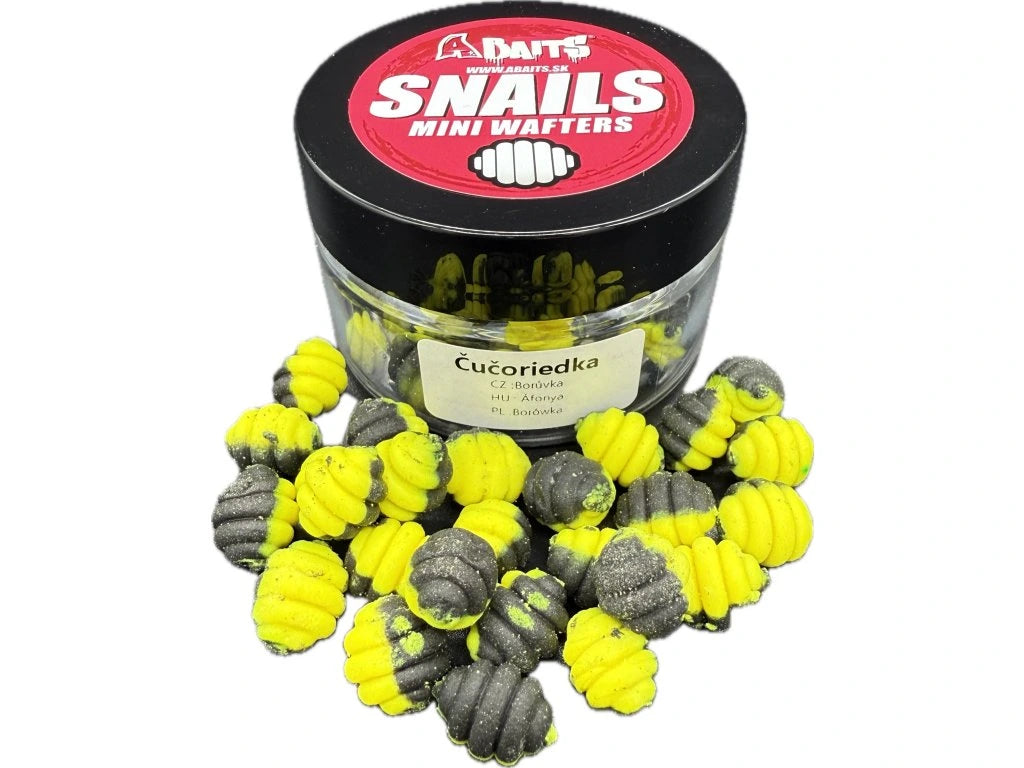 Schnecken, Wafters, Blaubeeren