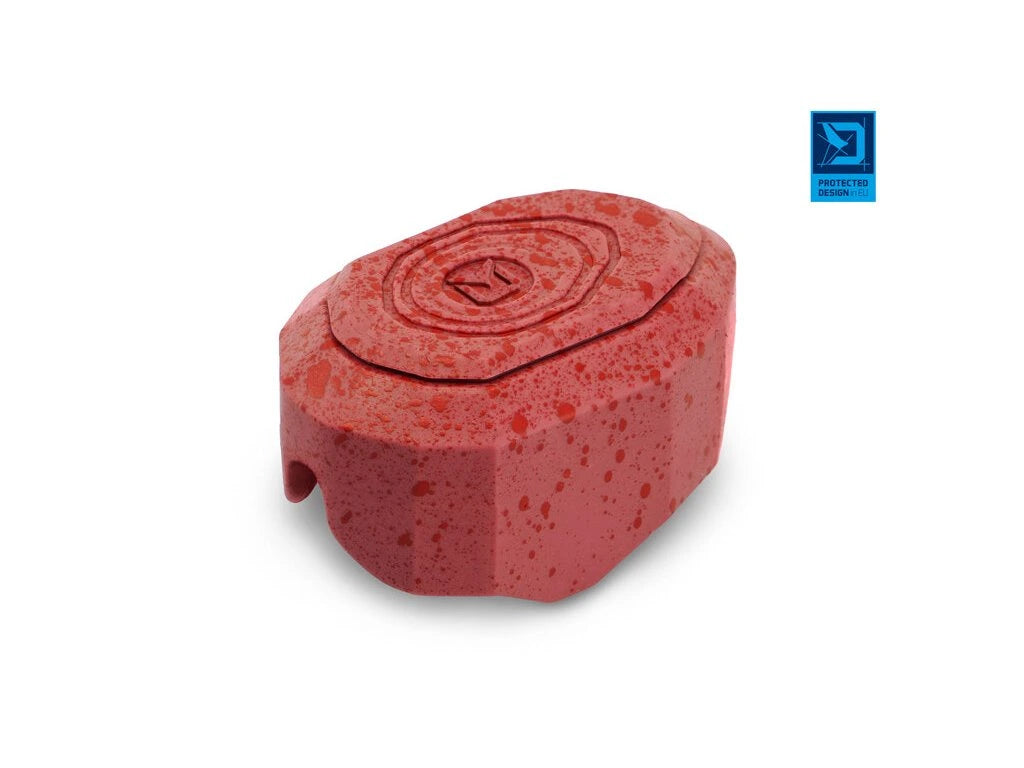 Delphin-Methode QUIX-Form