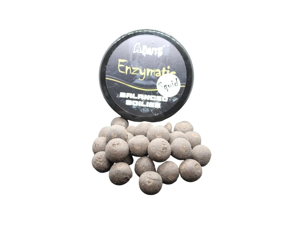 Enzymatische Tintenfisch-Boilies, 20/24 mm, 300 ml