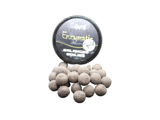 Enzymatische Tintenfisch-Boilies, 20/24 mm, 300 ml