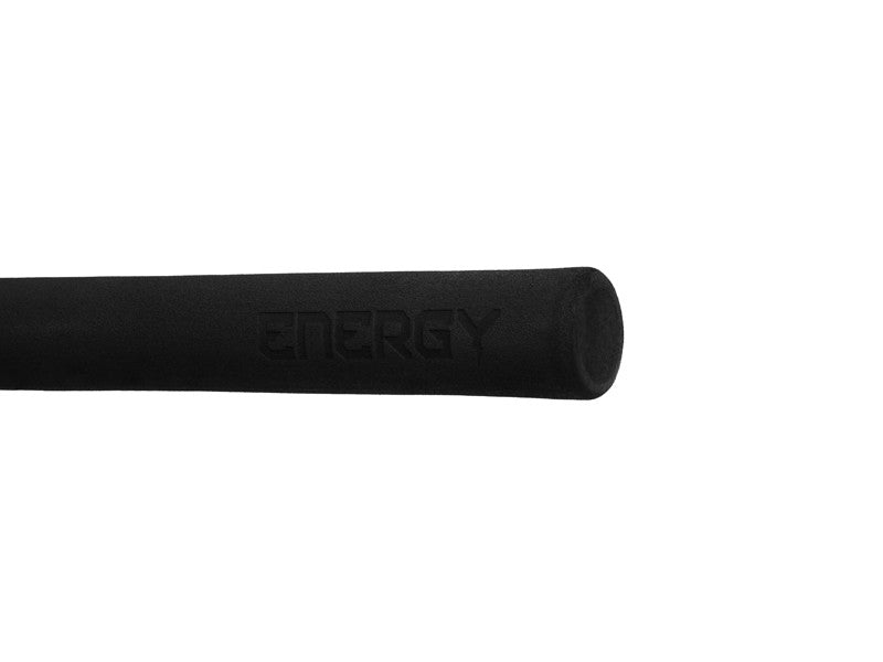 Delphin ENERGY Wels
