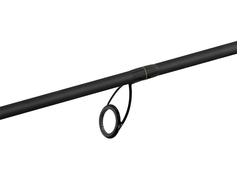 Delphin FEEDERA + 2 Spitzen