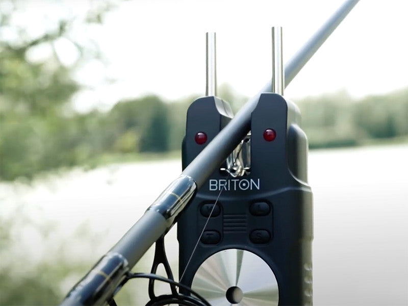 Set Delphin BRITON